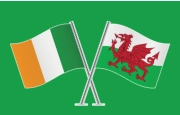 hanes frongoch history